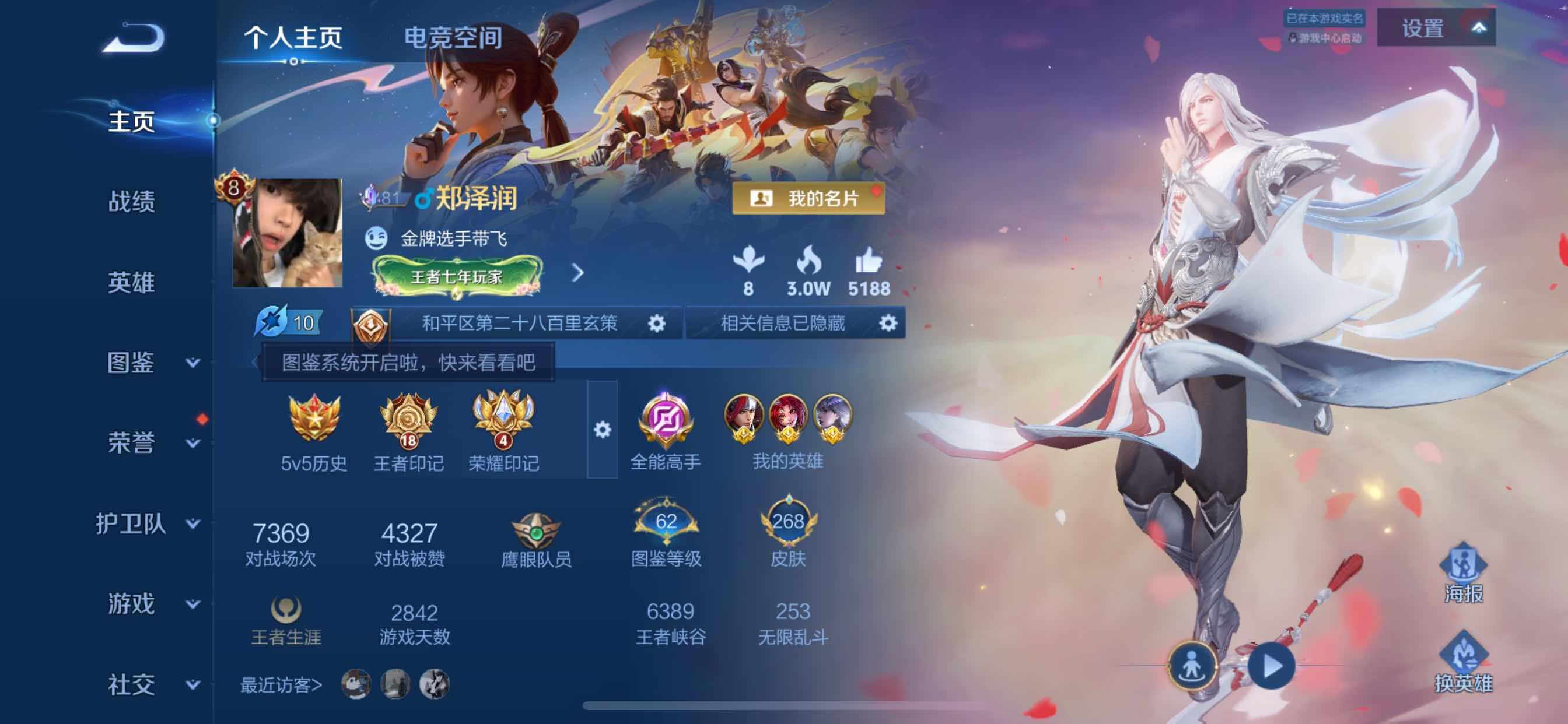 WZCMY3251689王者荣耀账号详情图2