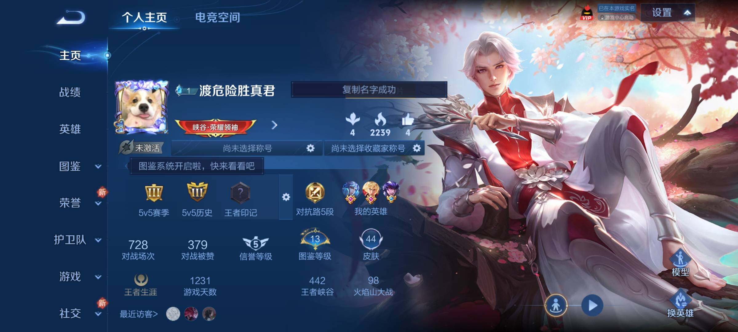 WZCMY3251691王者荣耀账号详情图2 WZCMY3251691王者荣耀账号详情图2