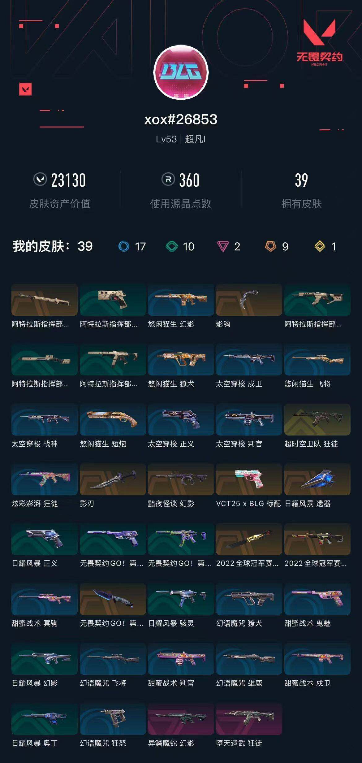 WWQXL310816无畏契约账号详情图2 WWQXL310816无畏契约账号详情图2