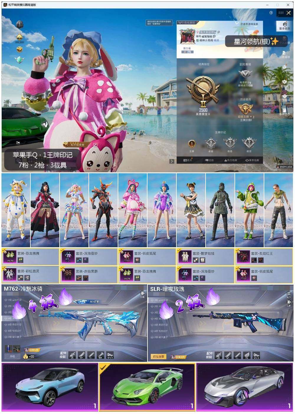 HPLE3336552和平精英账号详情图2