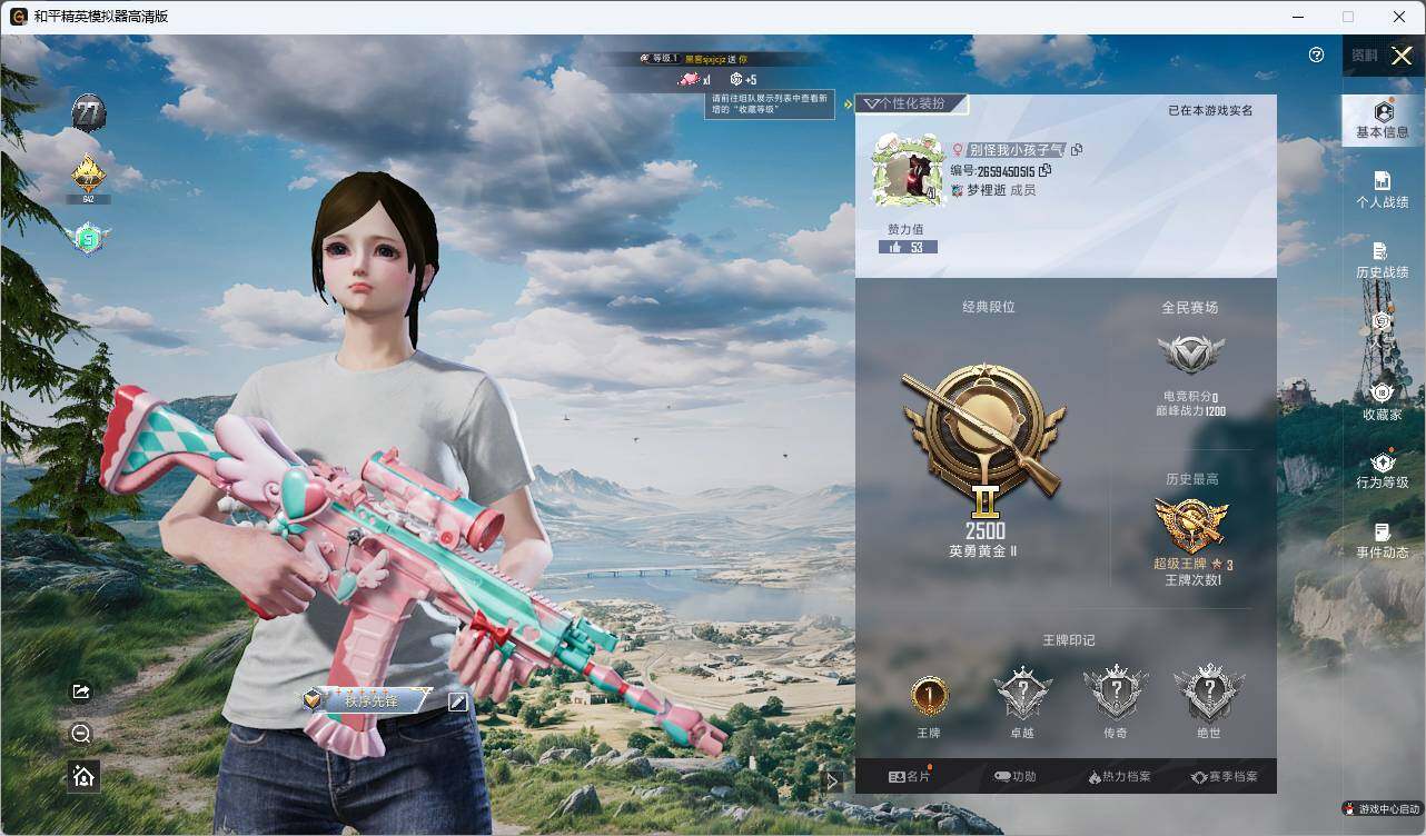 HPLX3336906和平精英账号详情图4