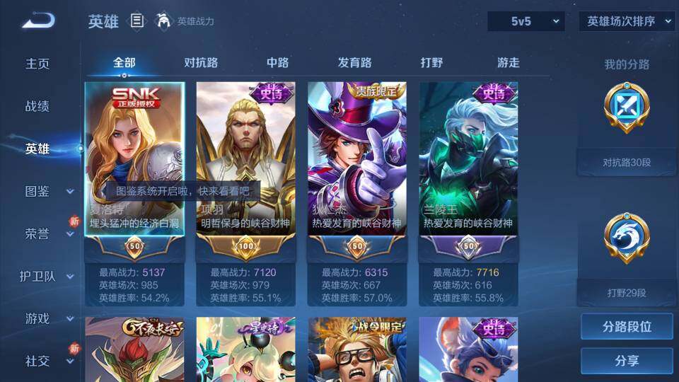 WZ0349249王者荣耀账号详情图16