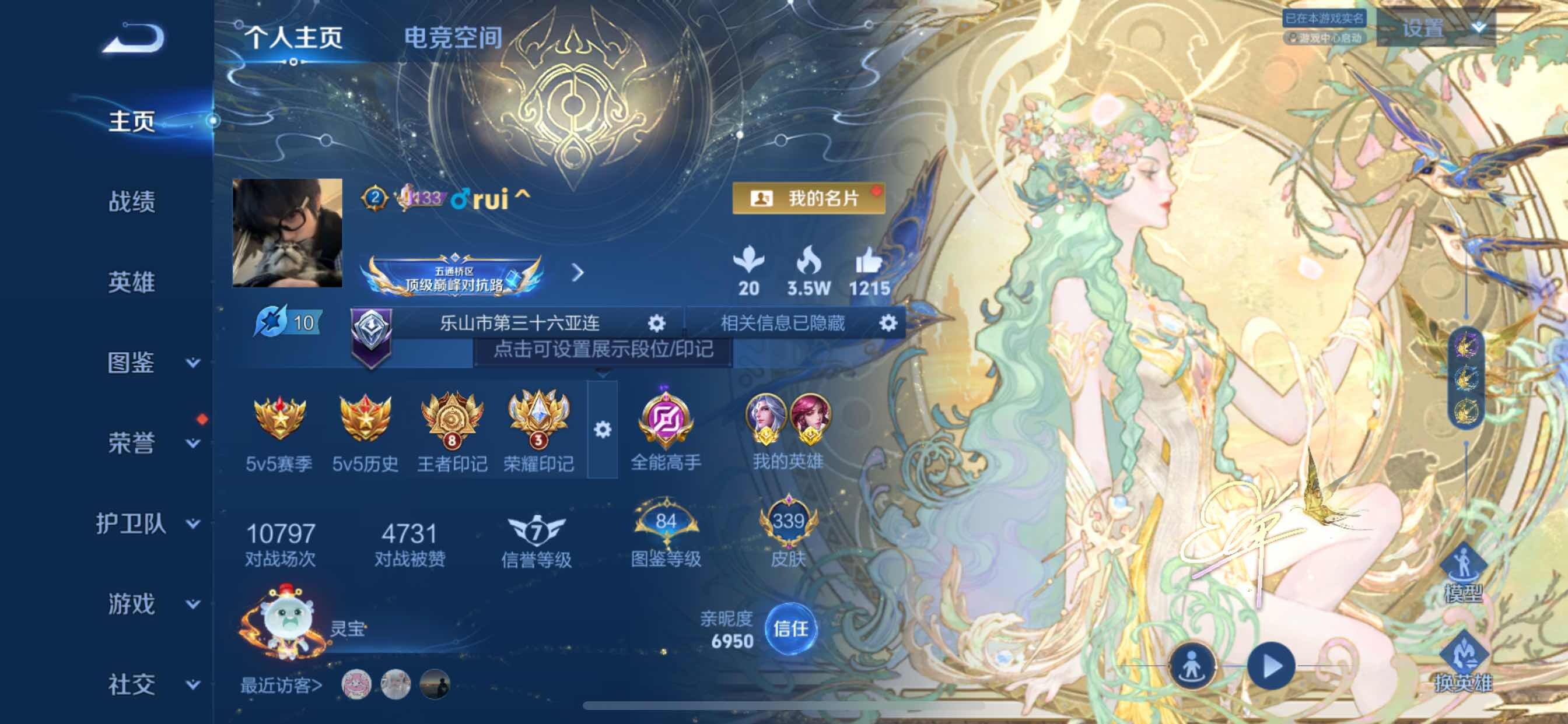 WZCMY3257029王者荣耀账号详情图2