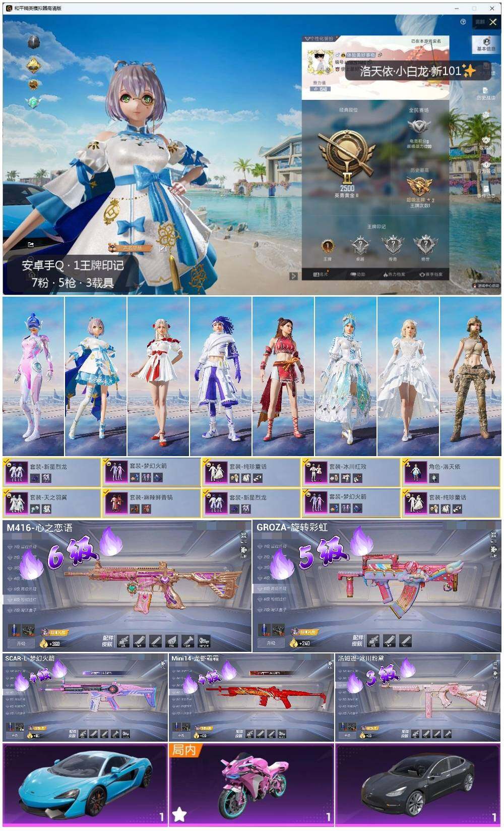 HPLE3336598和平精英账号详情图2