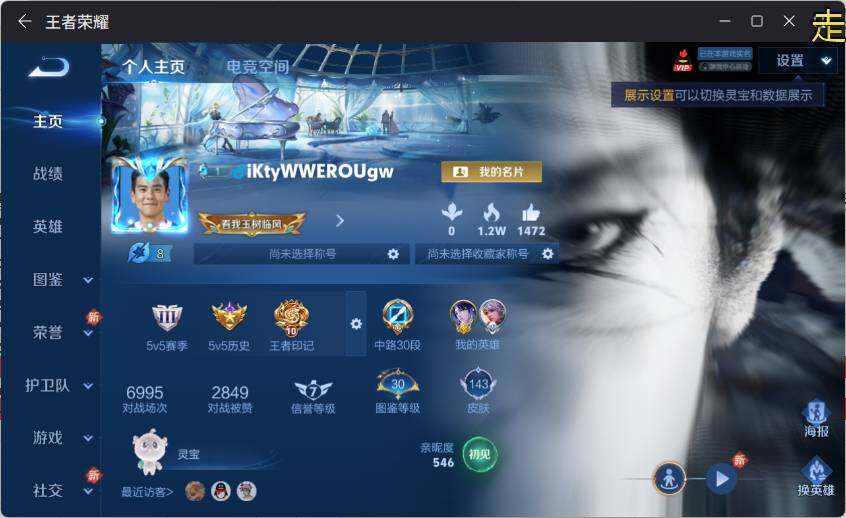 WZ0349251王者荣耀账号详情图12