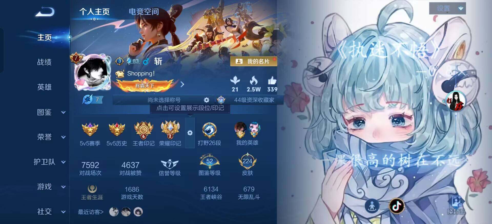 WZQM3330272王者荣耀账号详情图7