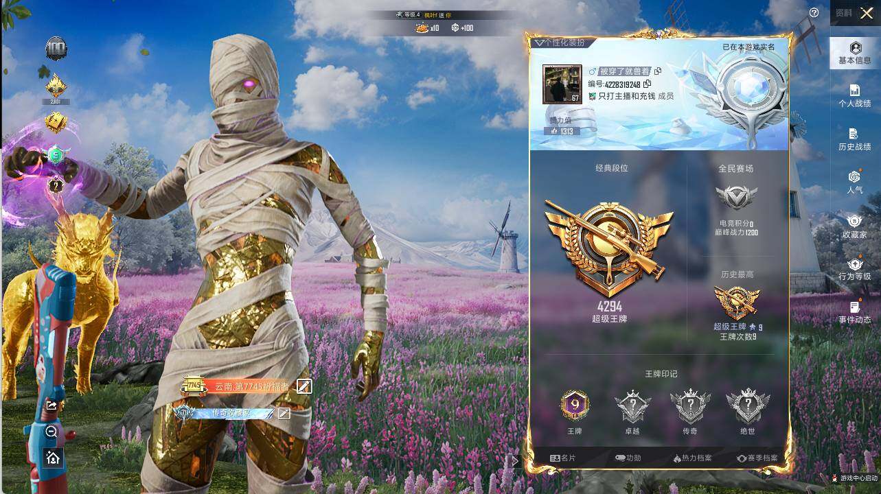 HPLE3320843和平精英账号详情图4