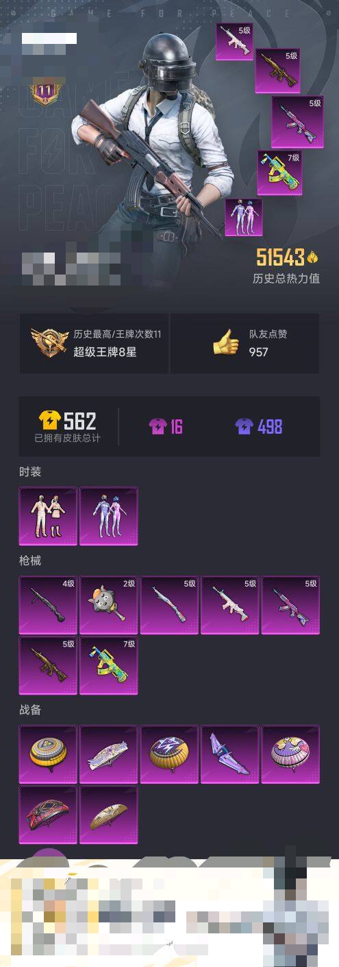 HPEY3322092和平精英账号详情图14 HPEY3322092和平精英账号详情图14