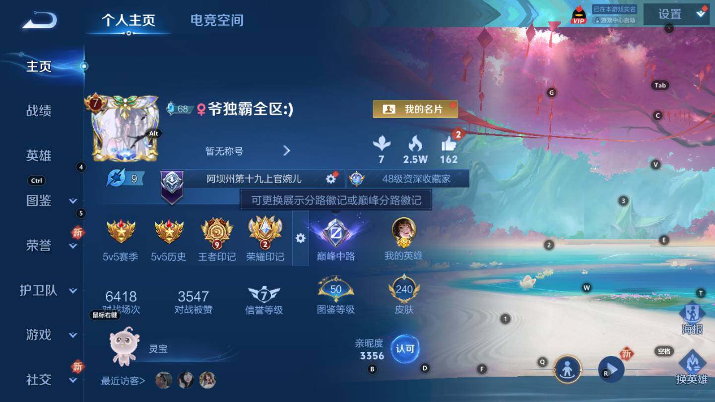 WZCMW3369191王者荣耀账号详情图2