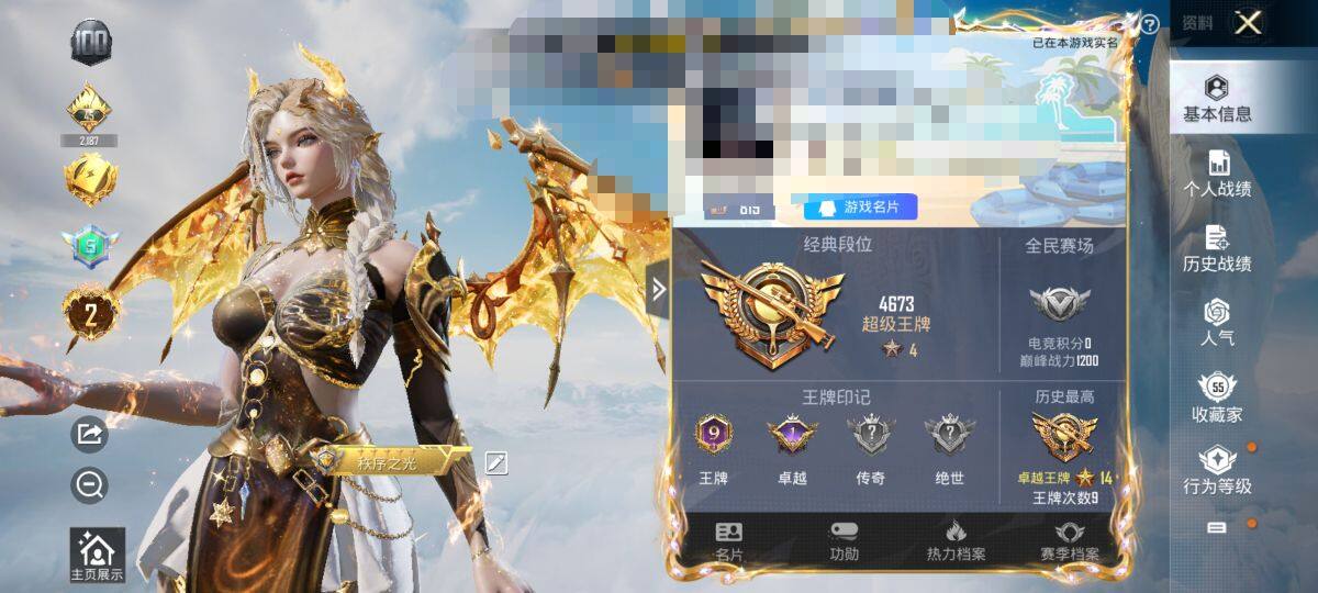HPEY3322376和平精英账号详情图10