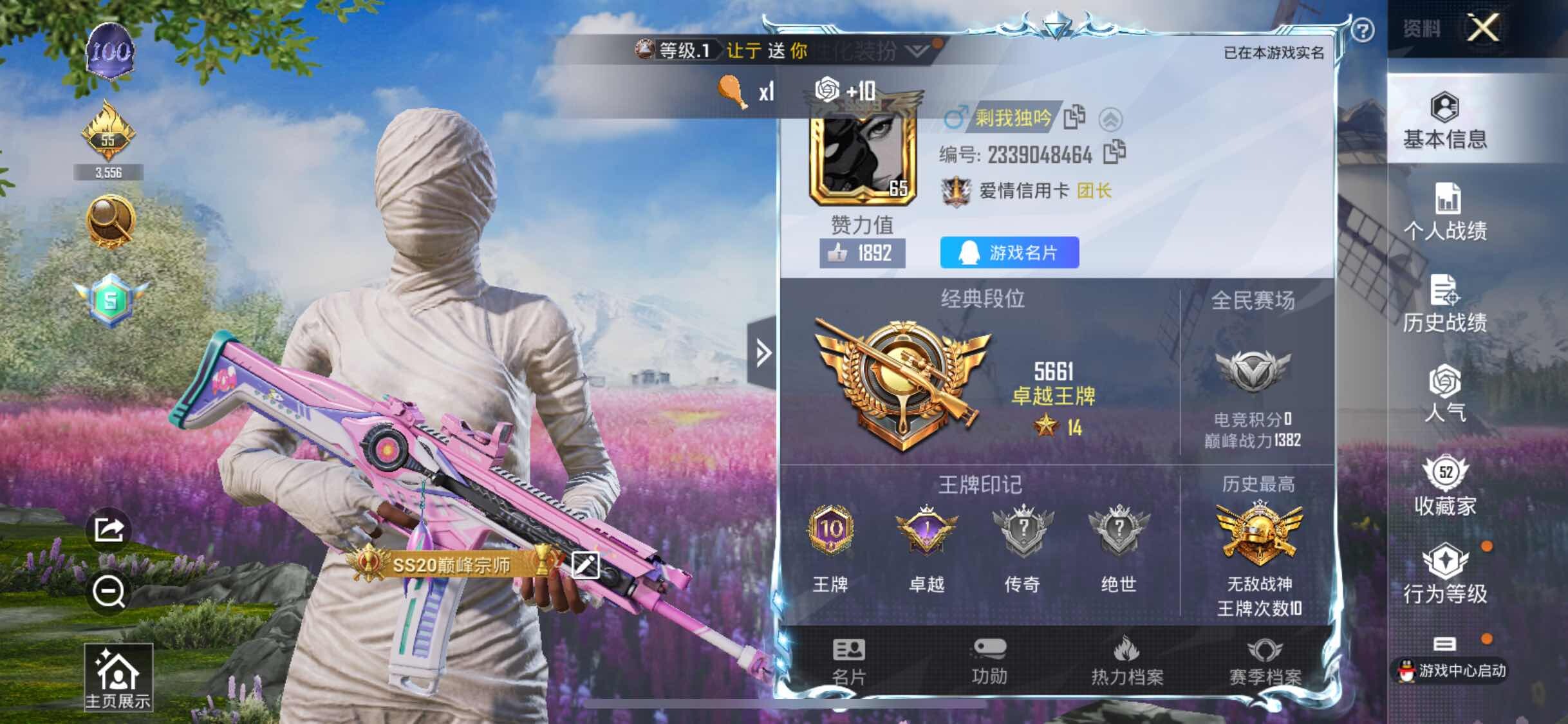 HPYXS3324856和平精英账号详情图2