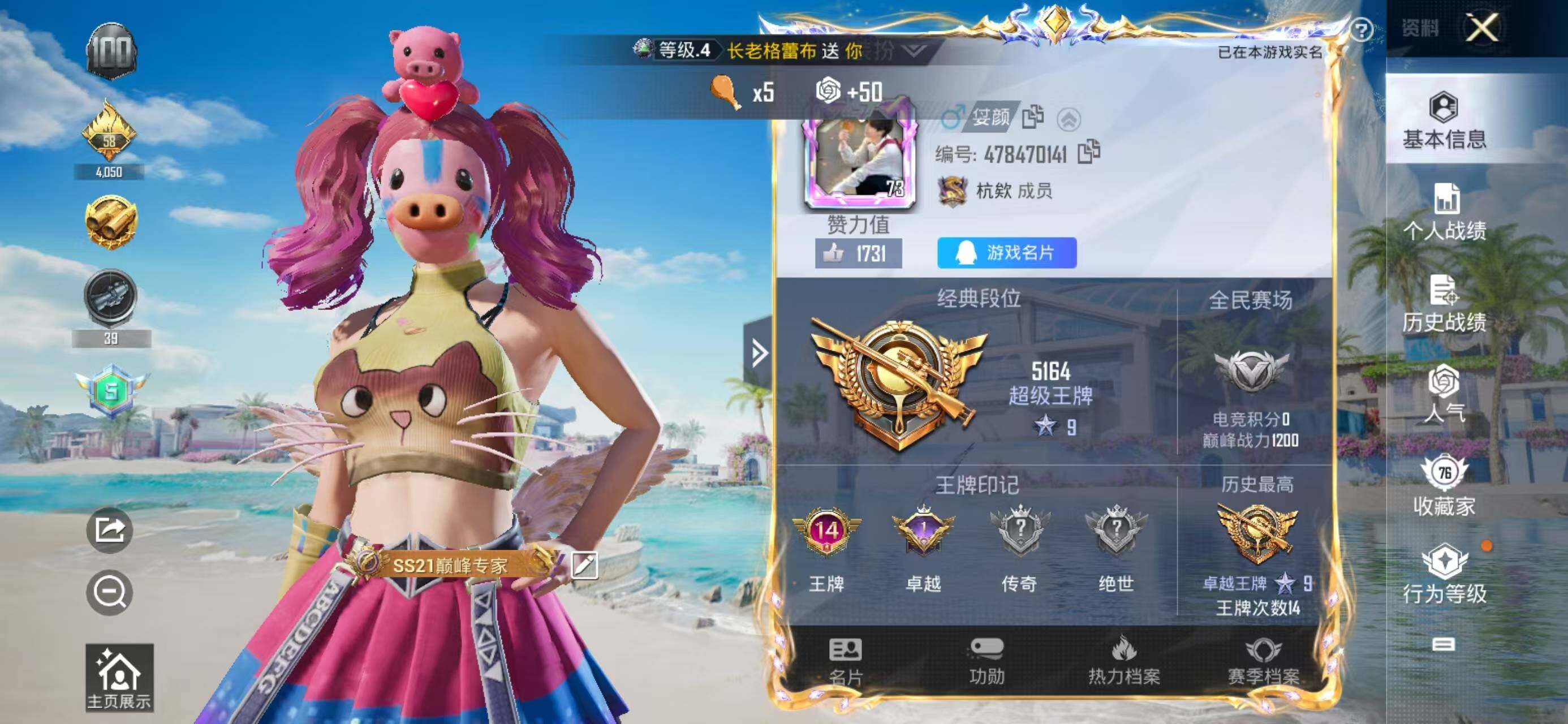 WZQM3385739王者荣耀账号详情图13 WZQM3385739王者荣耀账号详情图13