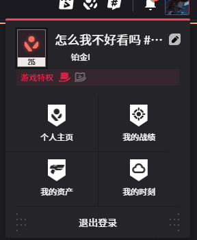 WWQYYH311884无畏契约账号详情图16