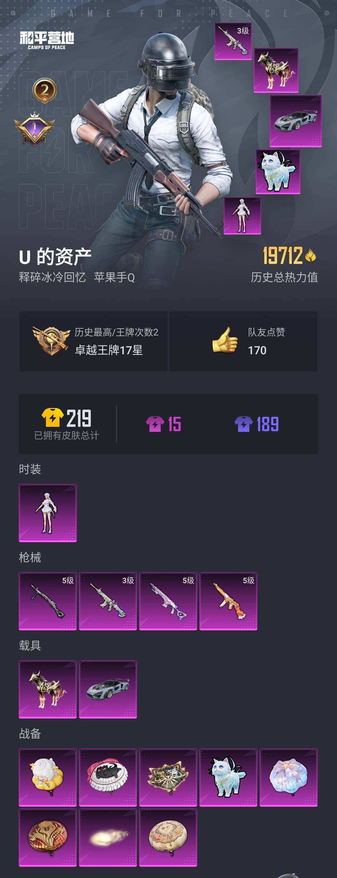 HPYYH3323690和平精英账号详情图2