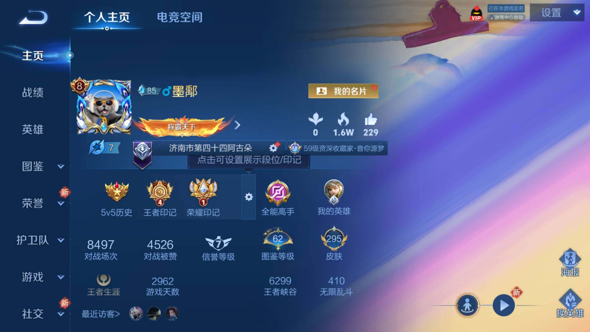 WZLFY3265664王者荣耀账号详情图8