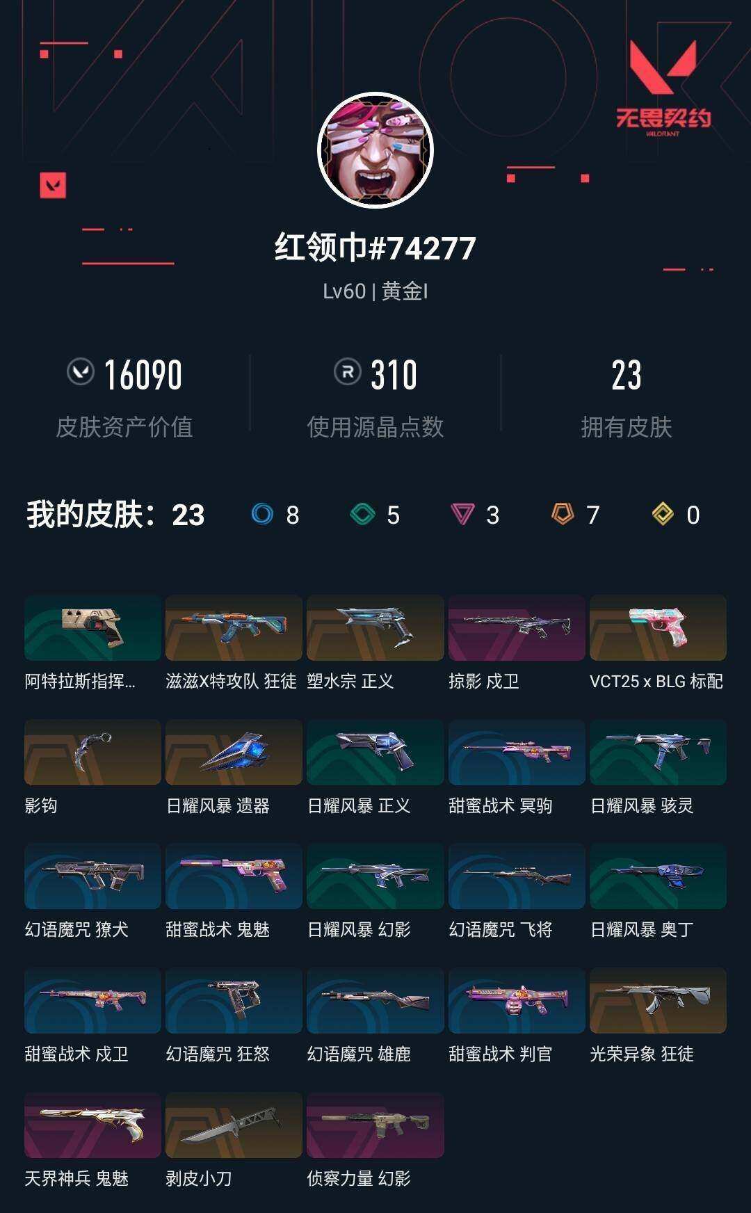 WWQYYH311927无畏契约账号详情图2