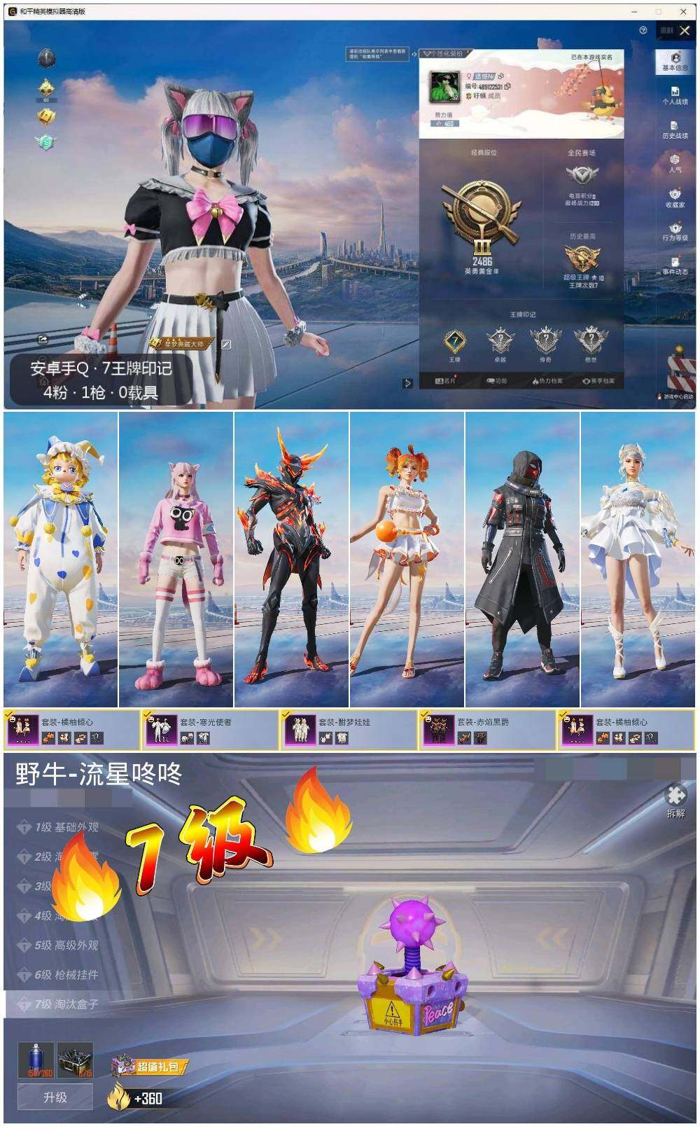 HPLE3325353和平精英账号详情图2 HPLE3325353和平精英账号详情图2