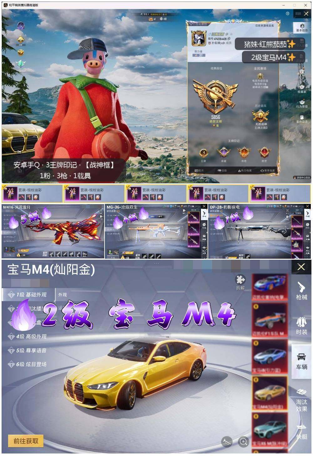 HPLE3330942和平精英账号详情图2