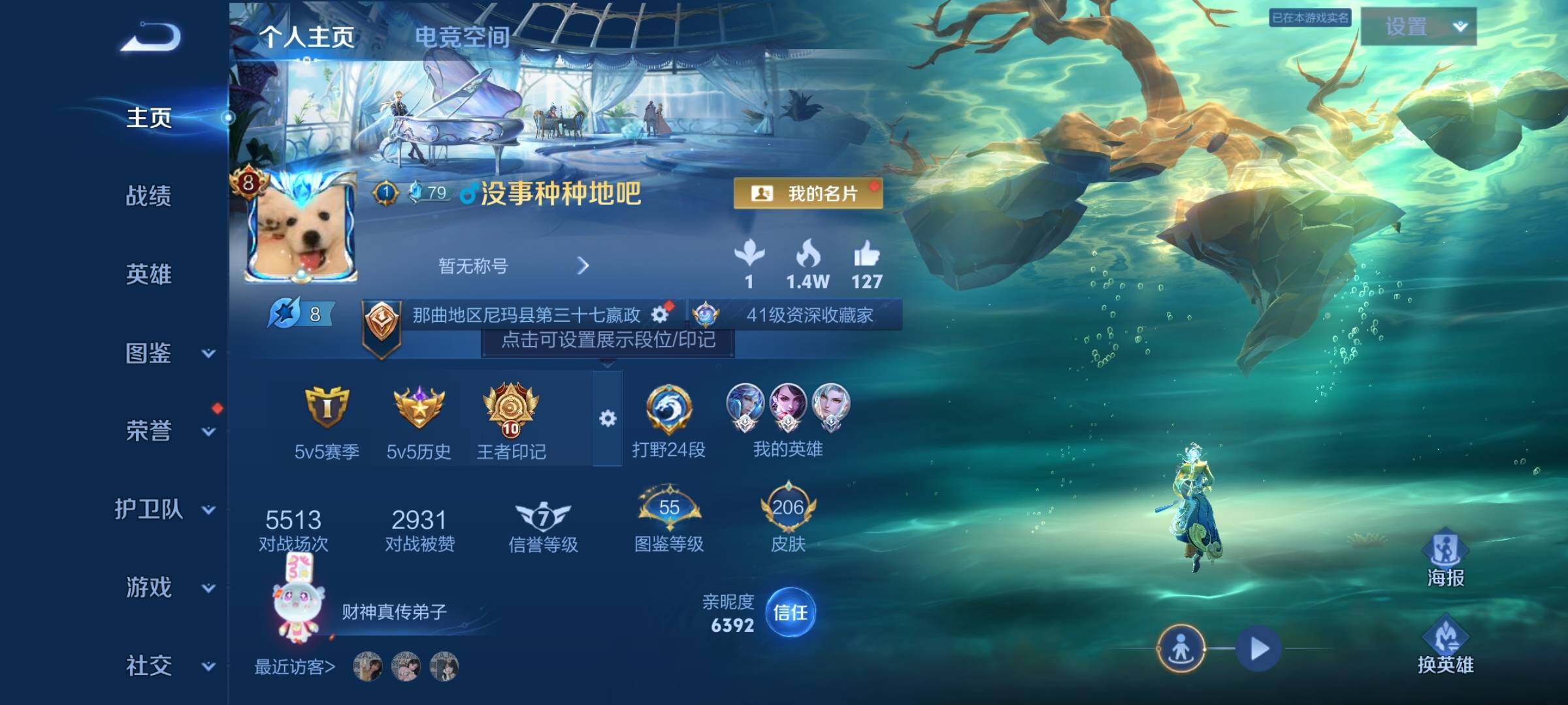 王者荣耀账号安卓QQ可换绑 【V8打野号，典藏无双韩信，七夕云缨，马超琥珀纪元，冥王哈迪斯铠，龙年赵云，神威马超】1星传说 18按键 10王者印记 五级铭文80 BX0070 可二次 安卓Q-V8-206皮肤-1典藏-