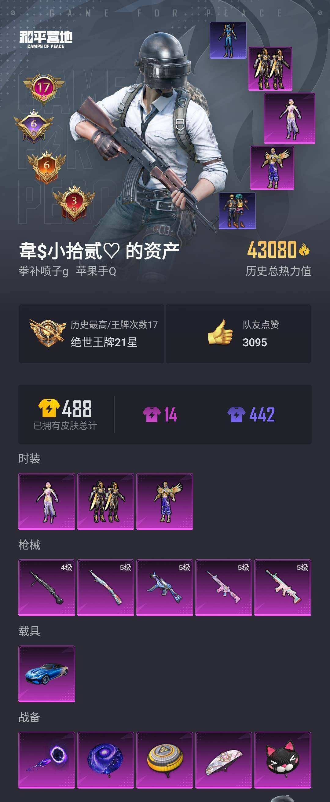 HPYYH3325625和平精英账号详情图2 HPYYH3325625和平精英账号详情图2