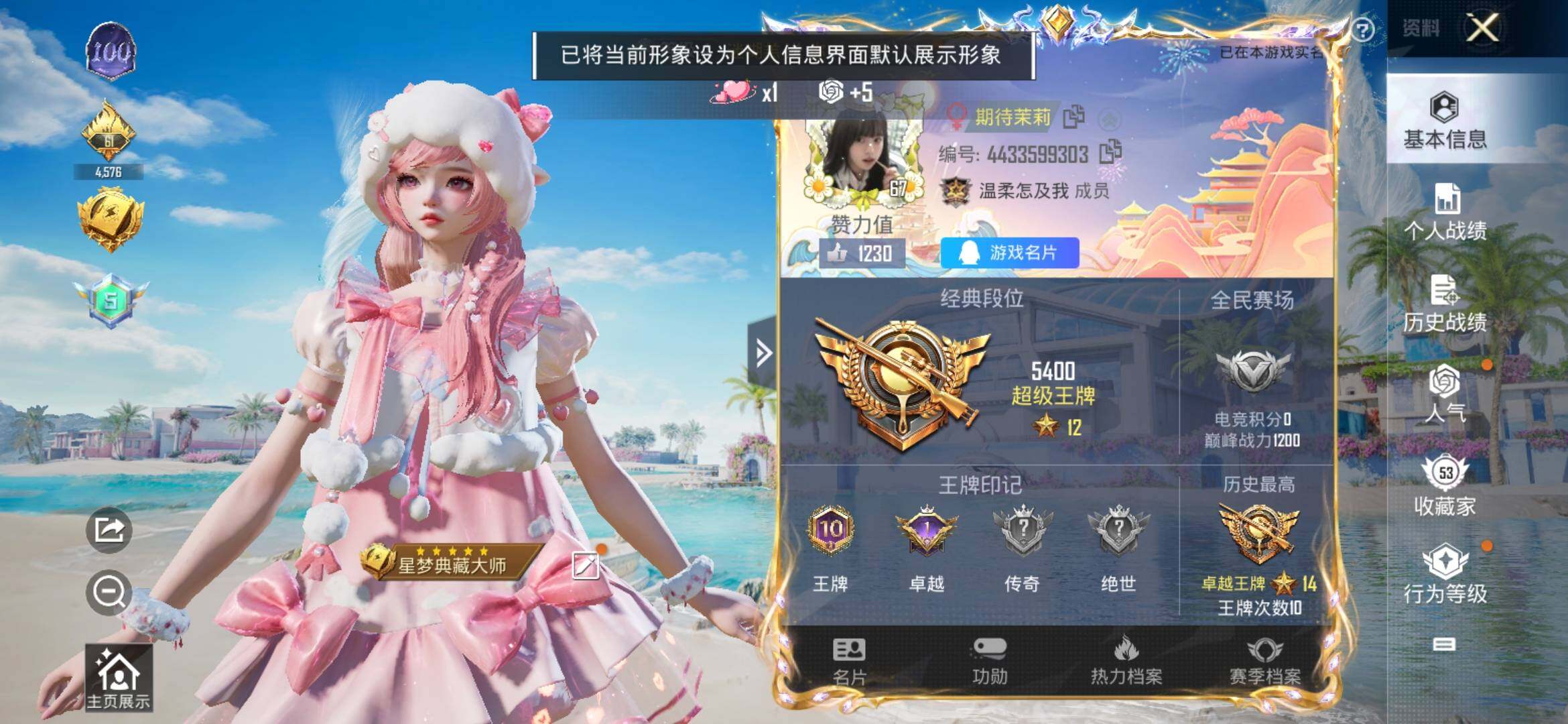 HPYXS3328765和平精英账号详情图2