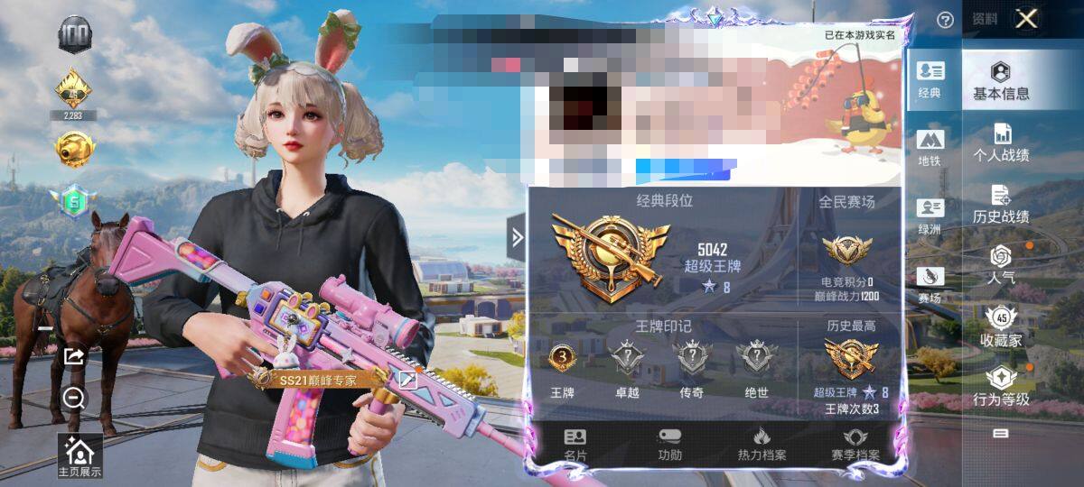 HPEY3326639和平精英账号详情图42