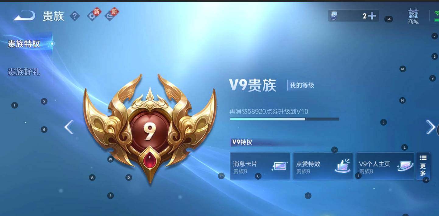 WZ146915