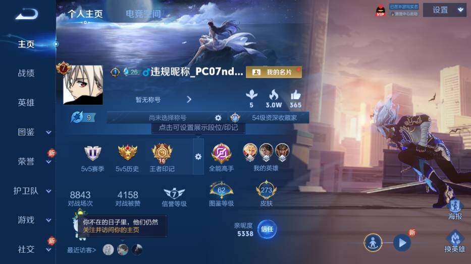 WZ0349267王者荣耀账号详情图10