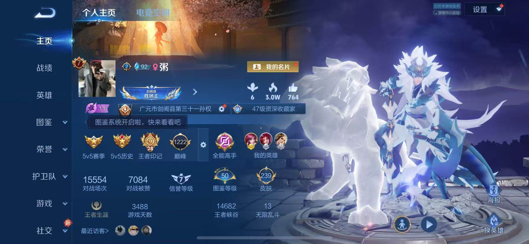 WZQM3440107王者荣耀账号详情图3 WZQM3440107王者荣耀账号详情图3