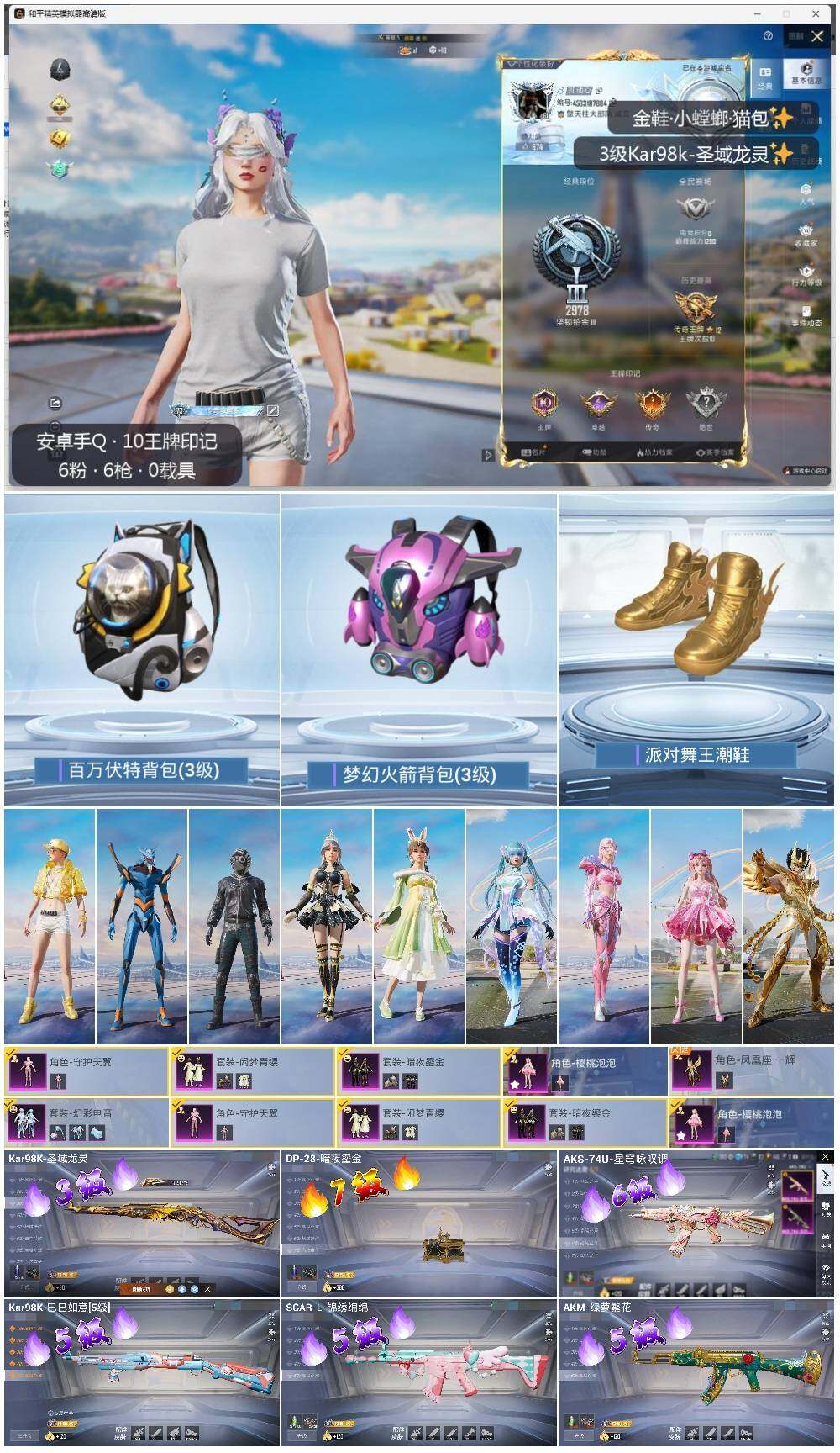 HPLE3327811和平精英账号详情图2