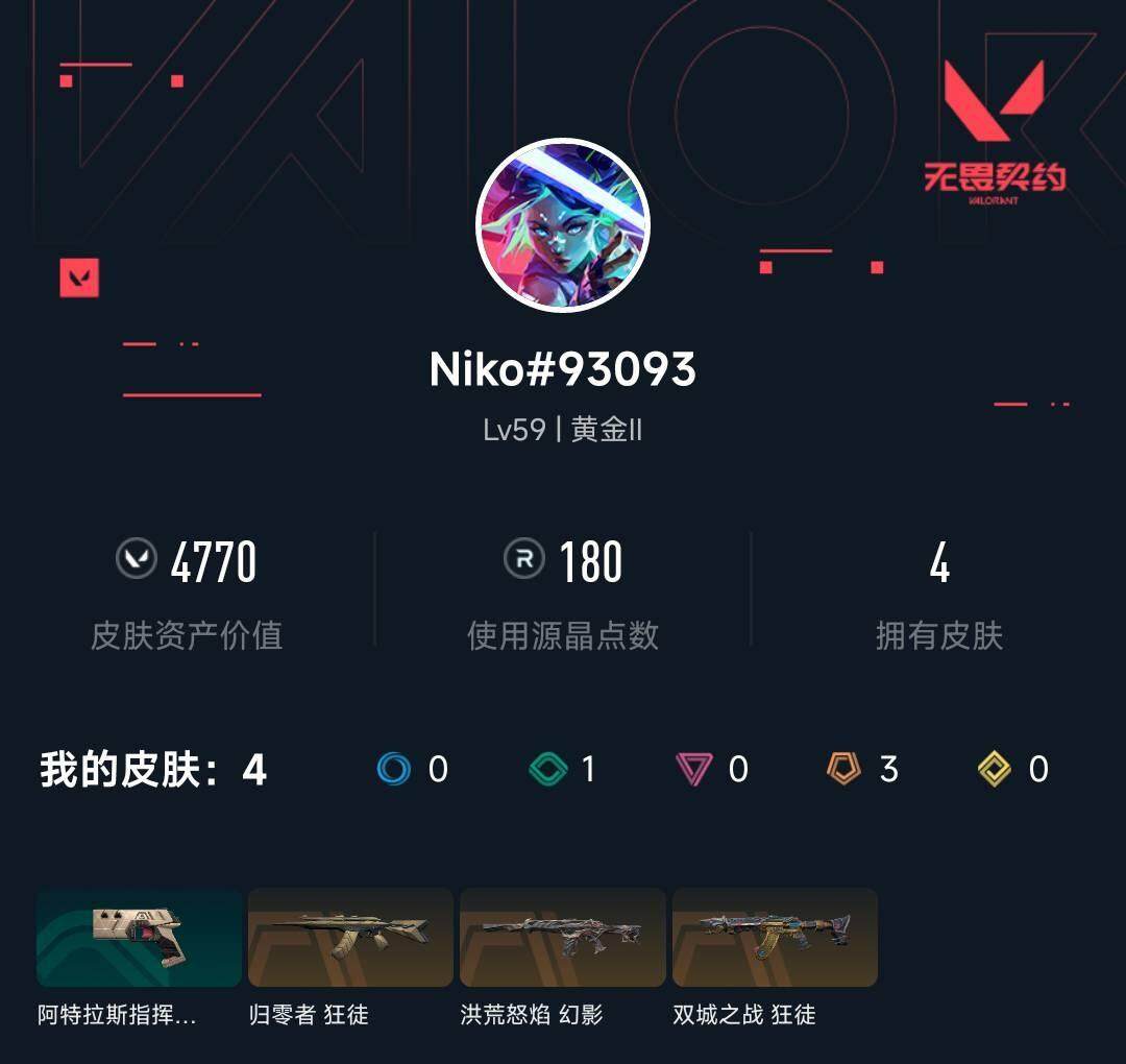WWQEY312667无畏契约账号详情图3
