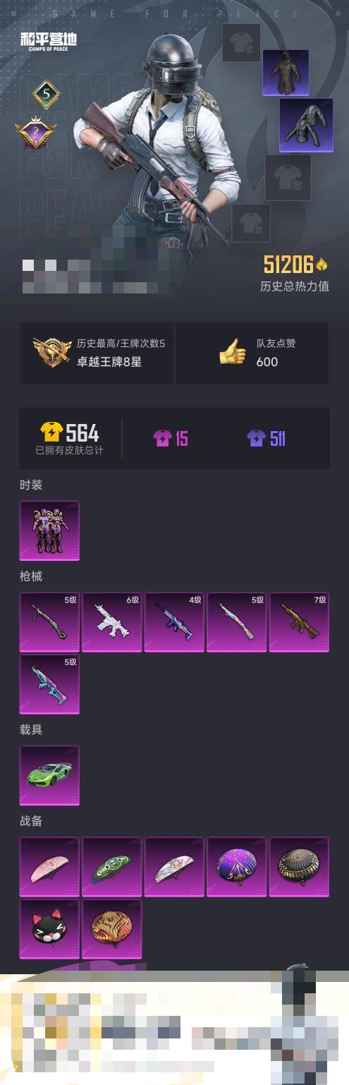 HPEY3328442和平精英账号详情图5