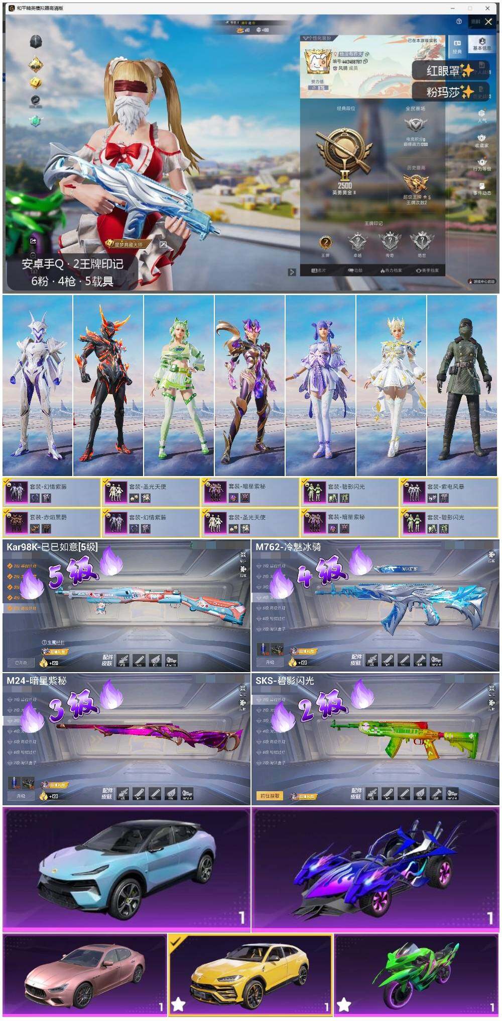 HPLE3328597和平精英账号详情图2