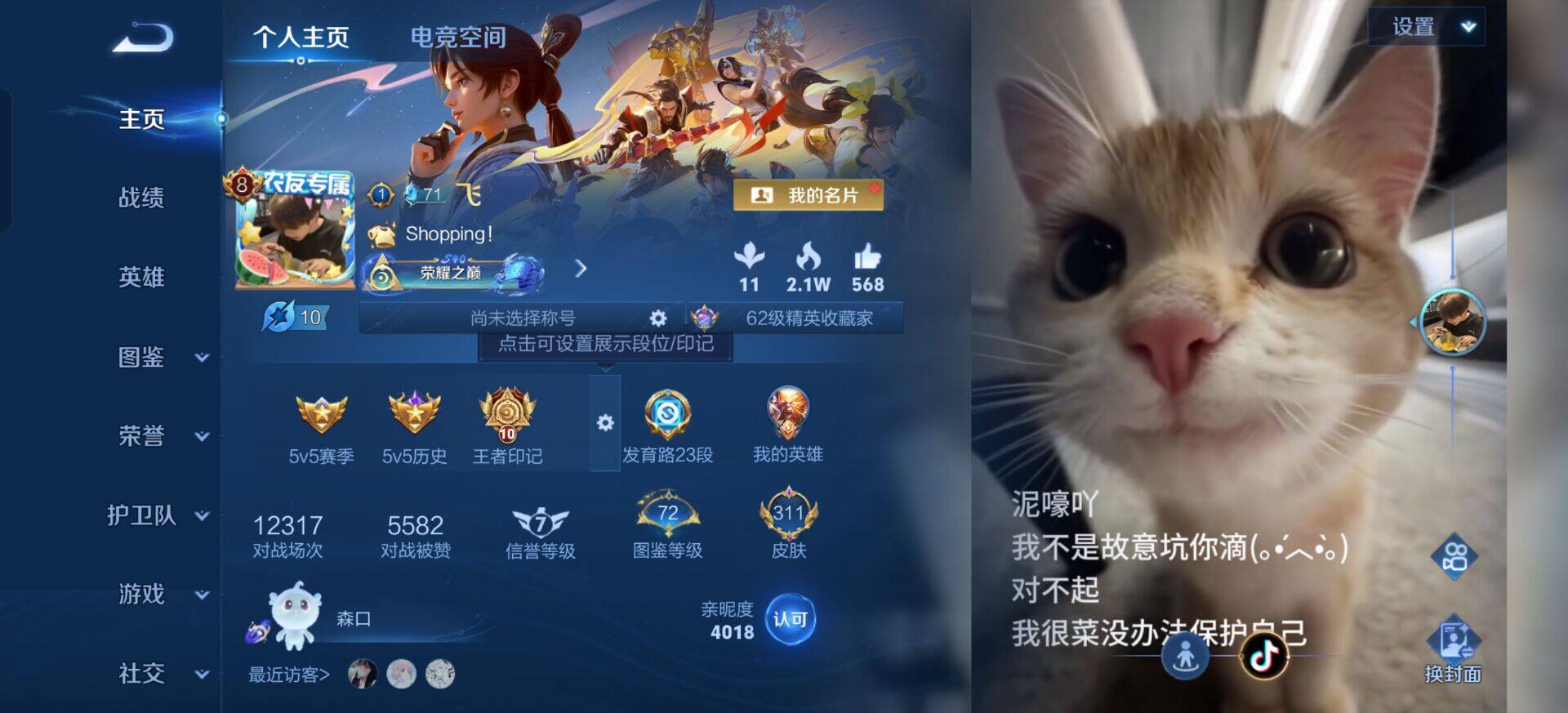 WZLX4370569王者荣耀账号详情图2