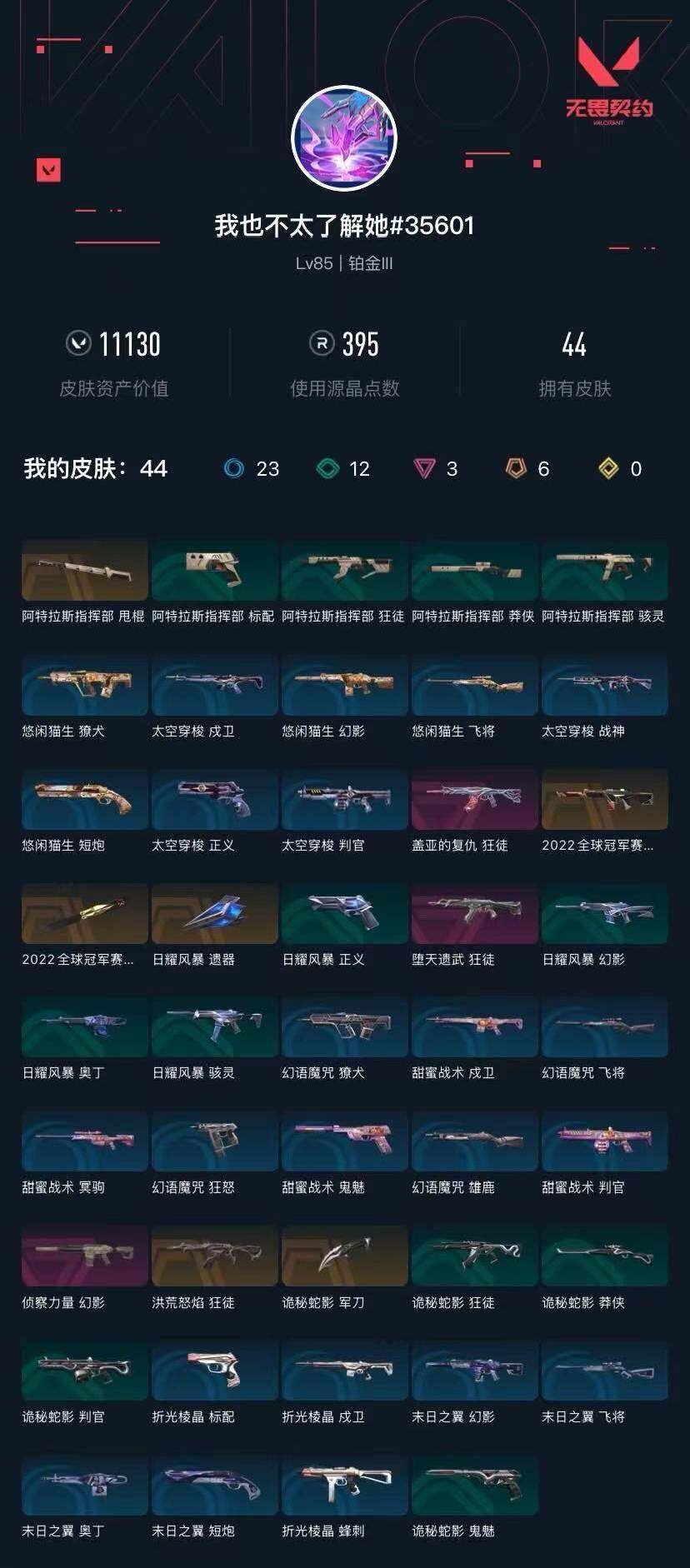 WWQXL313006无畏契约账号详情图4 WWQXL313006无畏契约账号详情图4
