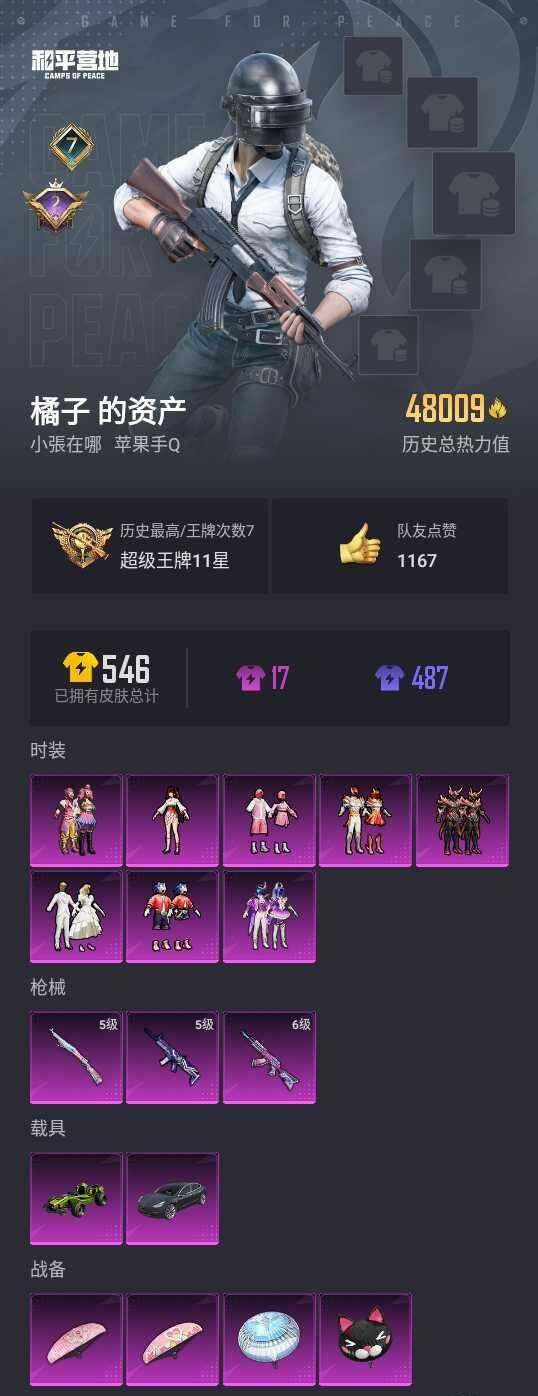 HPYYH3334501和平精英账号详情图2