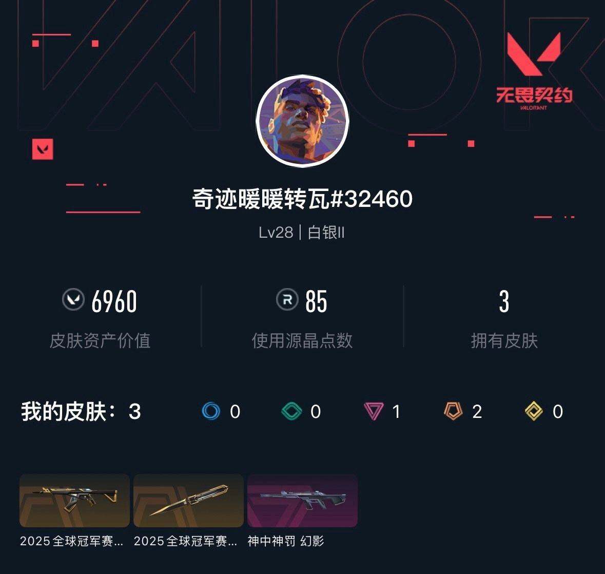WWQXL313070无畏契约账号详情图3