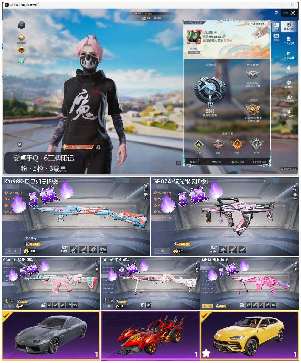 HPLE3331574和平精英账号详情图2