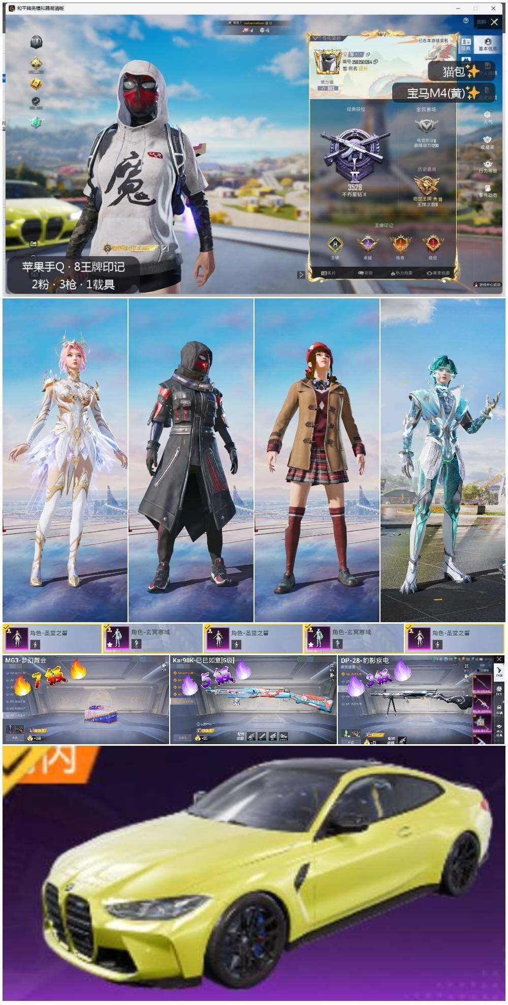 HPLE3331570和平精英账号详情图2