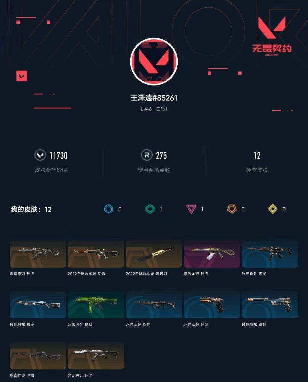 WWQXL313251无畏契约账号详情图4 WWQXL313251无畏契约账号详情图4