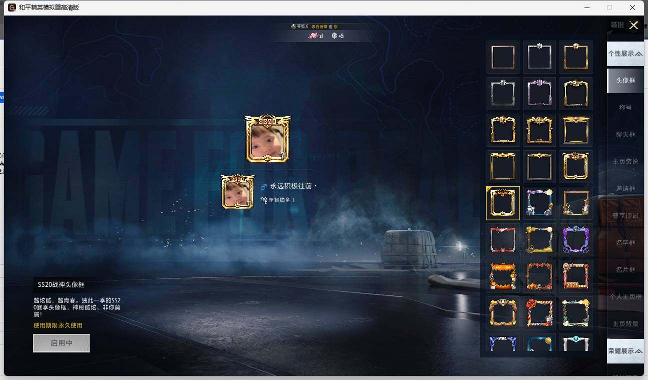 HPLE3333114和平精英账号详情图5