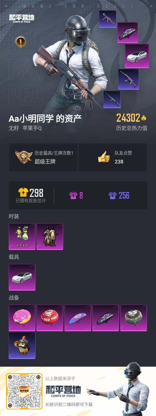 HPLE3333313和平精英账号详情图3