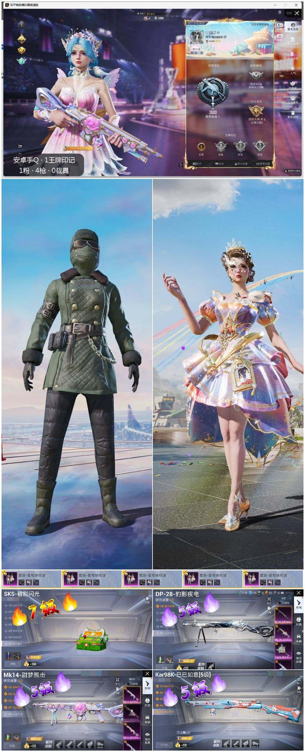HPLE3333312和平精英账号详情图2