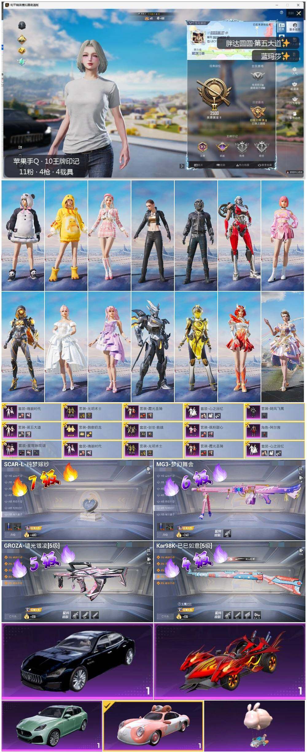 HPLE3334577和平精英账号详情图2