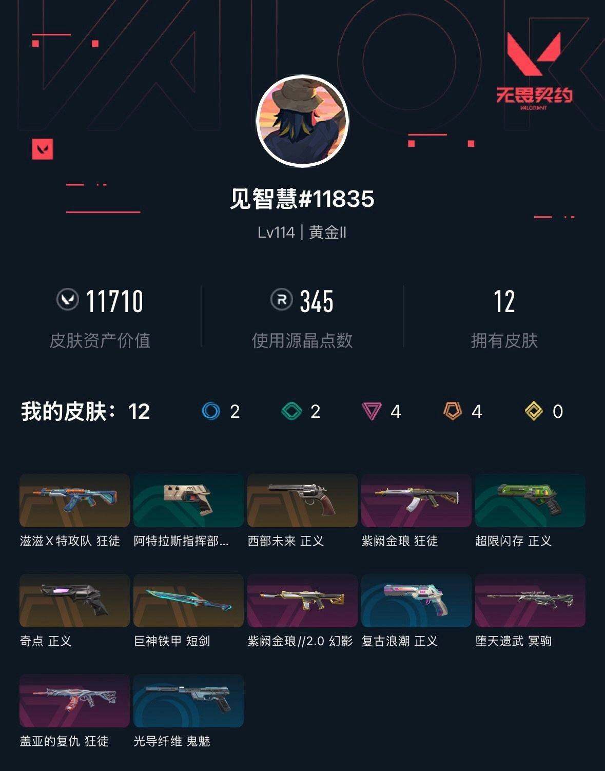 WWQXL313480无畏契约账号详情图2 WWQXL313480无畏契约账号详情图2