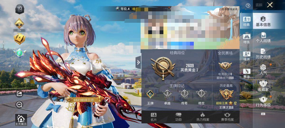 HPEY3334214和平精英账号详情图7