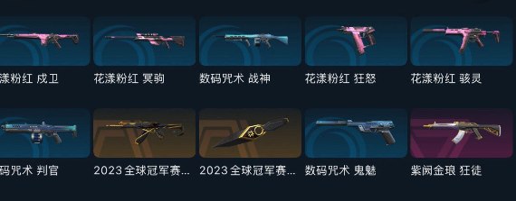 WWQEY313829无畏契约账号详情图7
