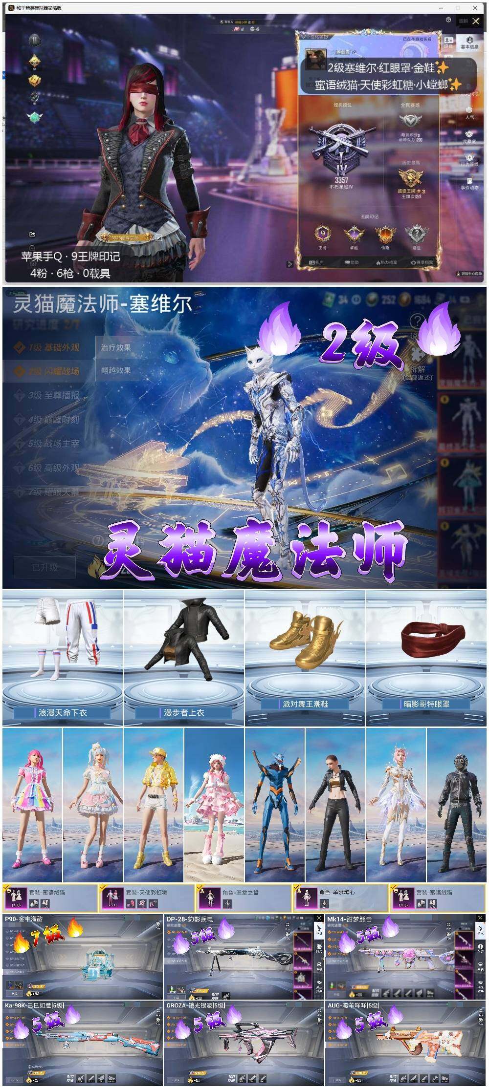 HPLE3334565和平精英账号详情图2