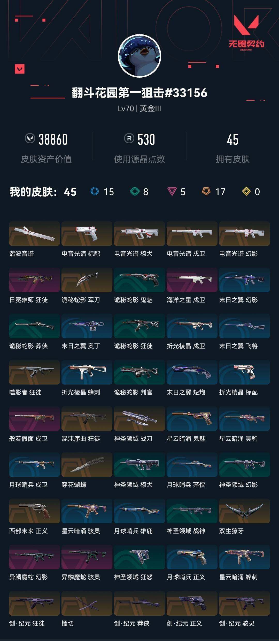 WWQXL313916无畏契约账号详情图4