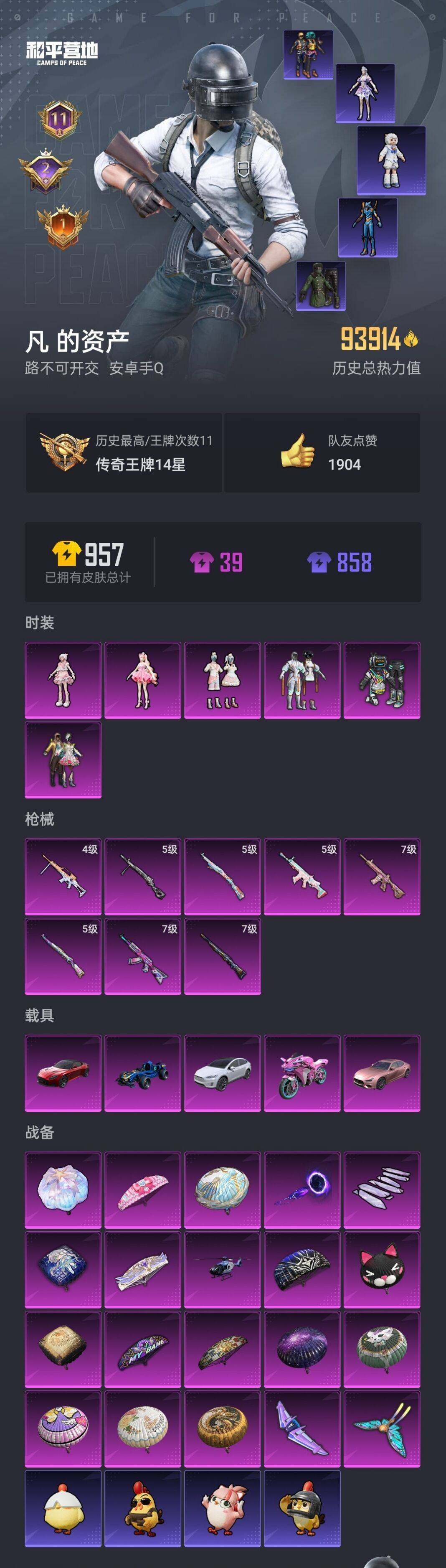 HPYYH3335174和平精英账号详情图2
